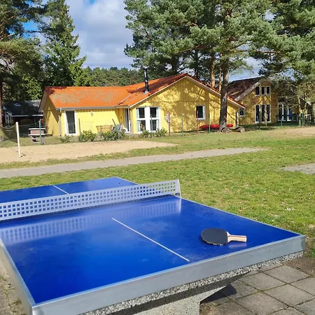 Möwe 217 Ferienhaus